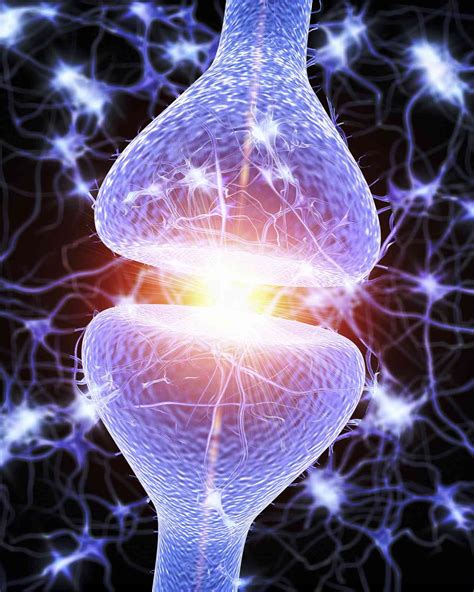 Serotonin Function and How to Increase Levels