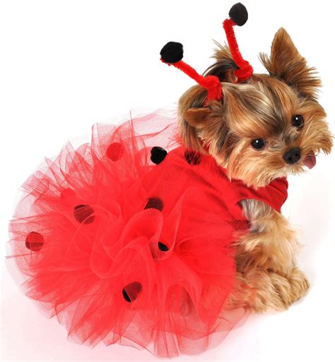 lady bug Dog Tutu Dress, Dog Dresses, Tutu Skirt, Pet Halloween Costumes, Pet Costumes, Costume ...