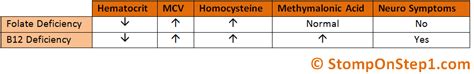 Folate & B12 Deficiency, Megaloblastic Anemia | Stomp On Step1