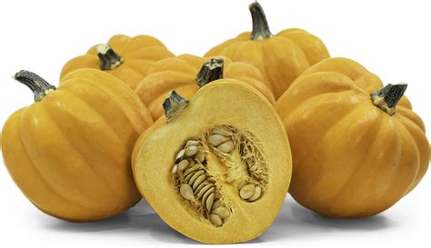 Gold Acorn Squash Information, Recipes and Facts