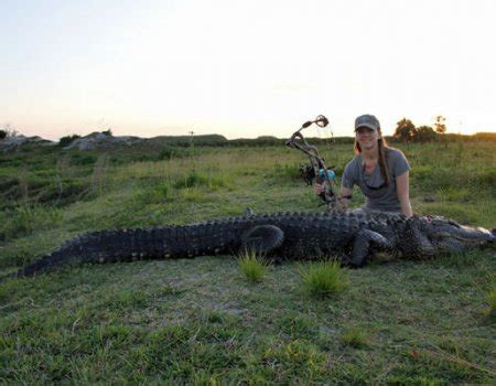 Alligator hunting in Florida