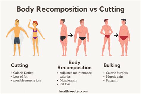 Macros for Gaining Muscle and Cutting Fat