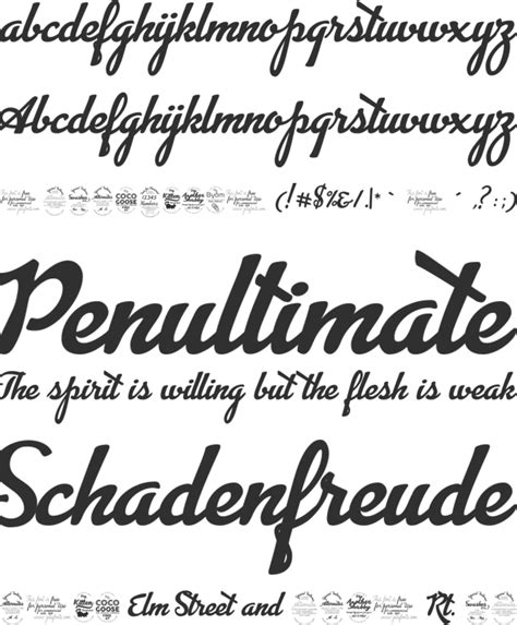 Advertising Script Font Family : Download Free for Desktop & Webfont