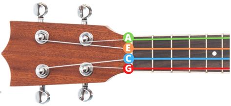 Complete Guide to Ukulele Strings Notes, Names, and Numbers