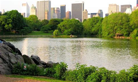 Central Park Skyline Photograph by Robert McCulloch - Pixels