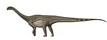 Abydosaurus - Wikipedia