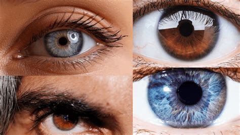 Is Eye Color Genetic?