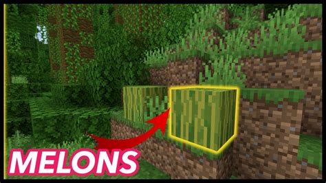 How To Find Melon Seeds In Minecraft? - YouTube