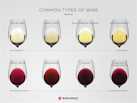Common Types of Wine (top varieties to know) | Wine Folly