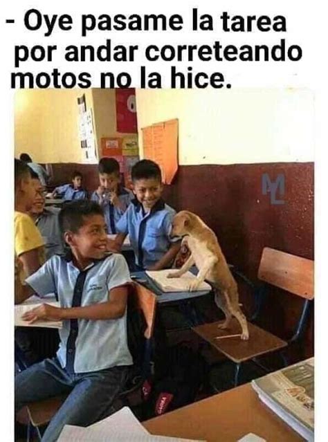 Perro: pasame la tarea - Meme subido por aristerv :) Memedroid