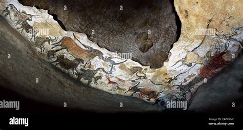 Cave paintings. This is the Great Hall of the Bulls, in the Lascaux caves in France. They are ...