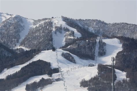 Snow Furano - Ski in Furano | Just another WordPress site