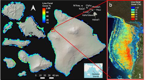 A hi-tech eye in the sky lays bare Hawaiʻi’s living coral reefs