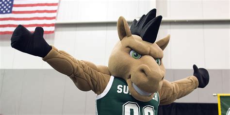 Get To Know the Competitors in Mascot Madness 2018 – Region 1