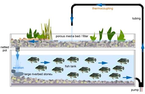 Easy Aquaponic Design-Set Up Your Own Diy Aquaponics Systems: How To ...