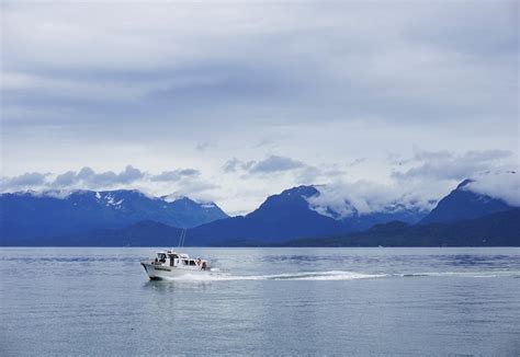 Top 3 Things To Do in Homer Alaska | Attractions of America