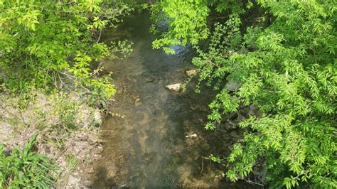 Project – Wolf Creek Restoration at Oregon Rec Complex – Maumee AOC