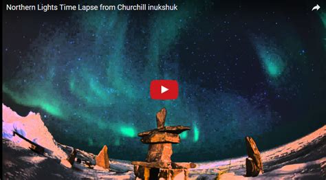 Northern Lights Time – Lapse - Churchill Polar Bears