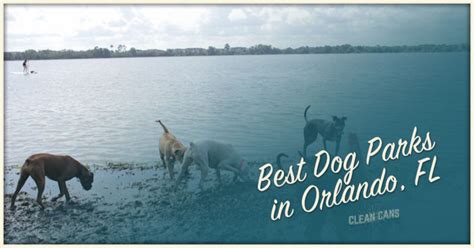 Best Dog Parks in Orlando, FL - Clean Cans