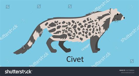 271 Cat civet vector Images, Stock Photos & Vectors | Shutterstock