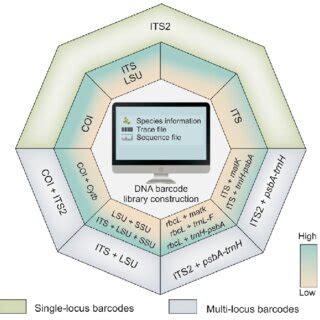 Common DNA barcoding applications in traditional medicines. The... | Download Scientific Diagram