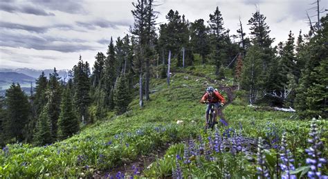 Bozeman, Montana: Mountains and Museums