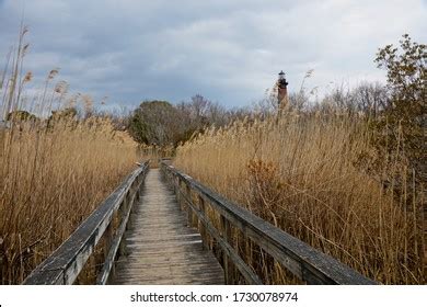 874 Corolla beach Images, Stock Photos & Vectors | Shutterstock