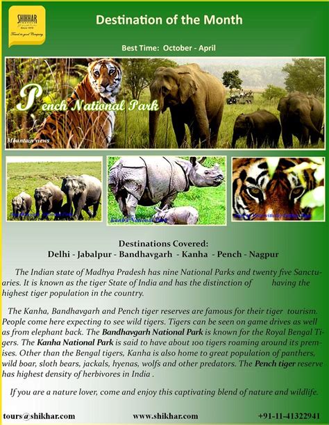 Wildlife in Madhya Pradesh, India | Wildlife tour, Wildlife safari, Tours