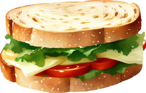 Sandwich Detailed Hand Drawn Illustration Vector Isolated 28543627 ...