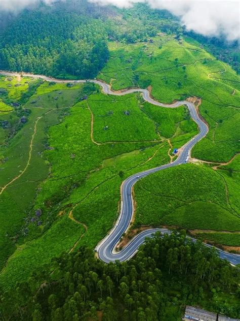 Gap Road Munnar | The Most Beautiful Road ln Kerala - Travel with Bee