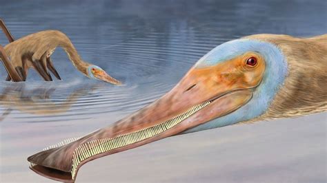 Pterosaurs: Newly discovered species had over 400 teeth - BBC Newsround