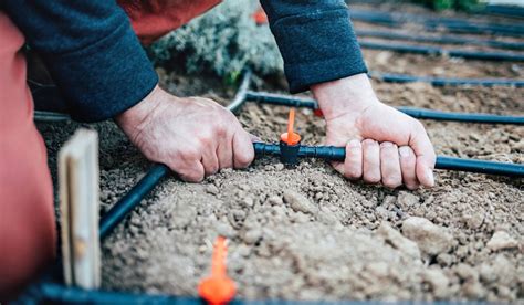 How to Connect Drip Irrigation to a Hose - Your DIY Backyard