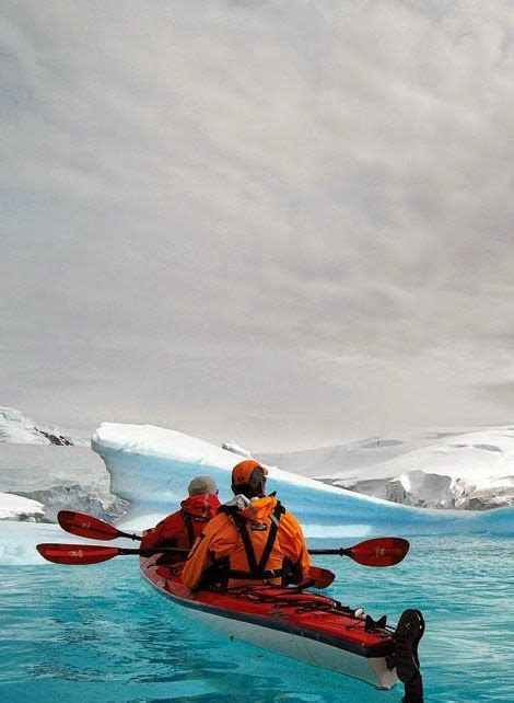 Sea Kayaking in Glacier Bay National Park,Alaska | Sea kayaking, Kayaking, Glacier bay national ...