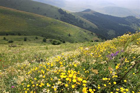 expressions-of-nature, Armenia by Nadja MH