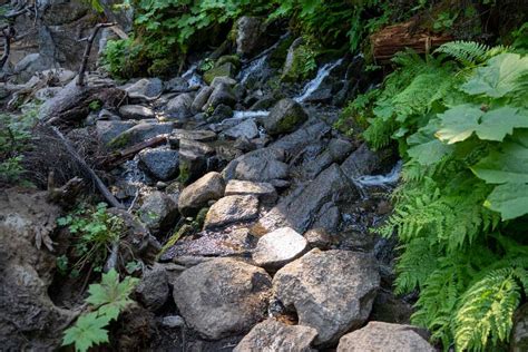 Complete Guide to Hiking Colchuck Lake Trail in Washington