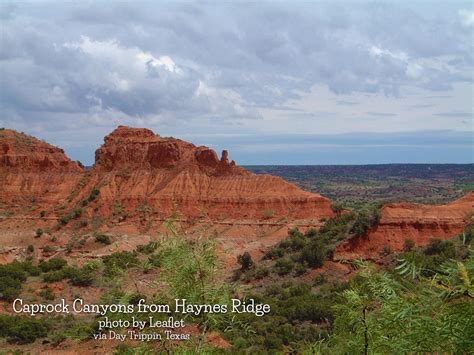 Caprock Canyons