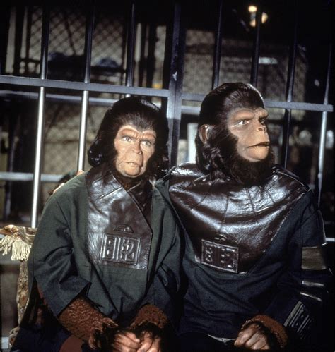 Escape From The Planet Of The Apes | Park Circus