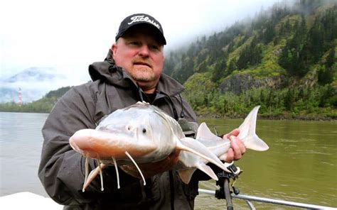 Fraser River Sturgeon Fishing FAQ's | Good Tips to Know Before You Go