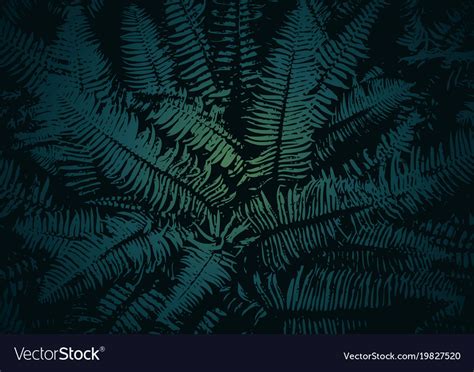 Texture of a fern Royalty Free Vector Image - VectorStock