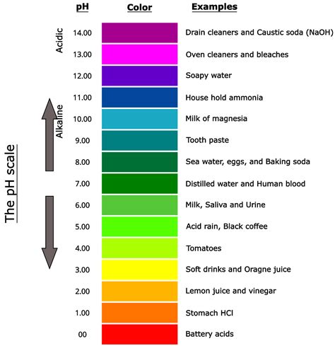 Importance of pH in Chemistry - Concepts Berg - PSIBERG