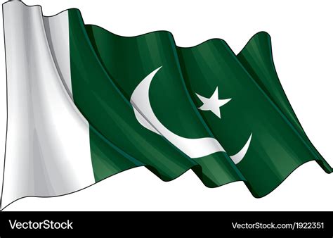 Pakistan flag Royalty Free Vector Image - VectorStock