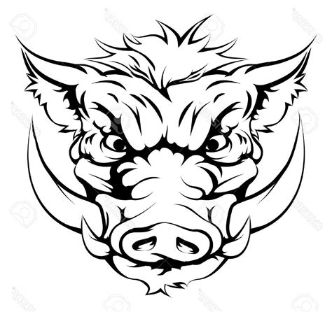 Razorback Drawing at GetDrawings | Free download