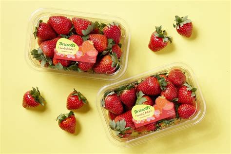 Sweetest Batch Strawberries | Bright, Bold & Sweet | Driscoll’s®