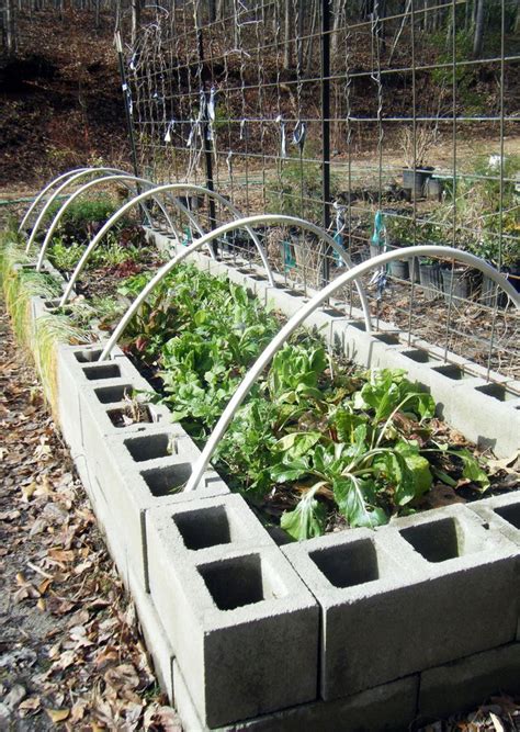 34 Concrete Block Raised Bed Gardening ideas | cinder block garden ...