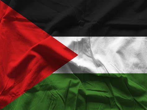 Premium Photo | Palestinian flag