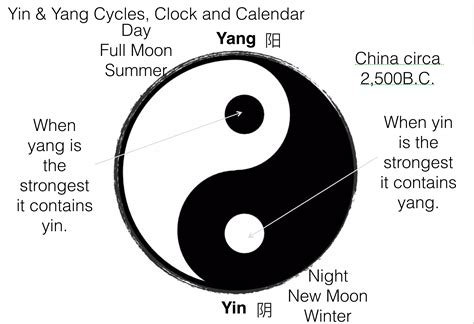 Yin Yang - Chi Energy - Holistic Therapies