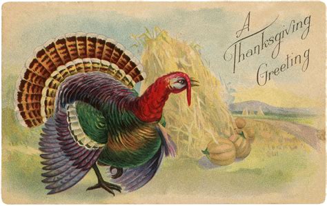 Vintage Thanksgiving Turkey Postcard - Colorful! - The Graphics Fairy