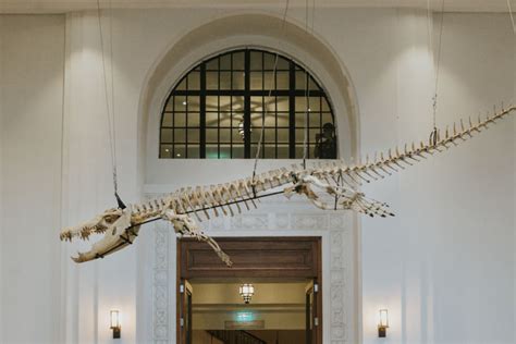 National Museum of Natural History: A Digital Tour | Cover Stories | GMA News Online