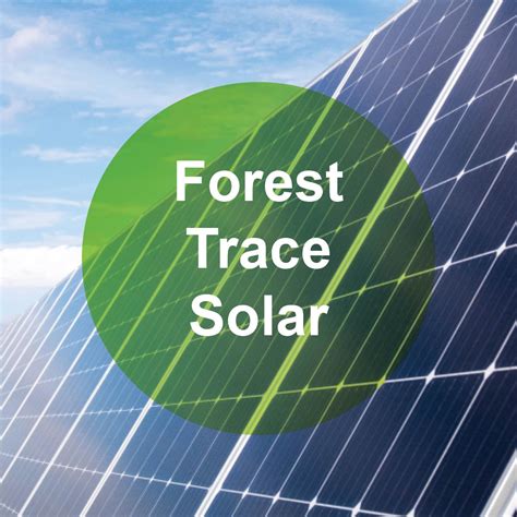 Forest Trace Solar