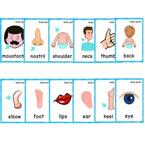 Amazon.com: Human Body Parts - Preschool Kids Learning: Appstore For C2B